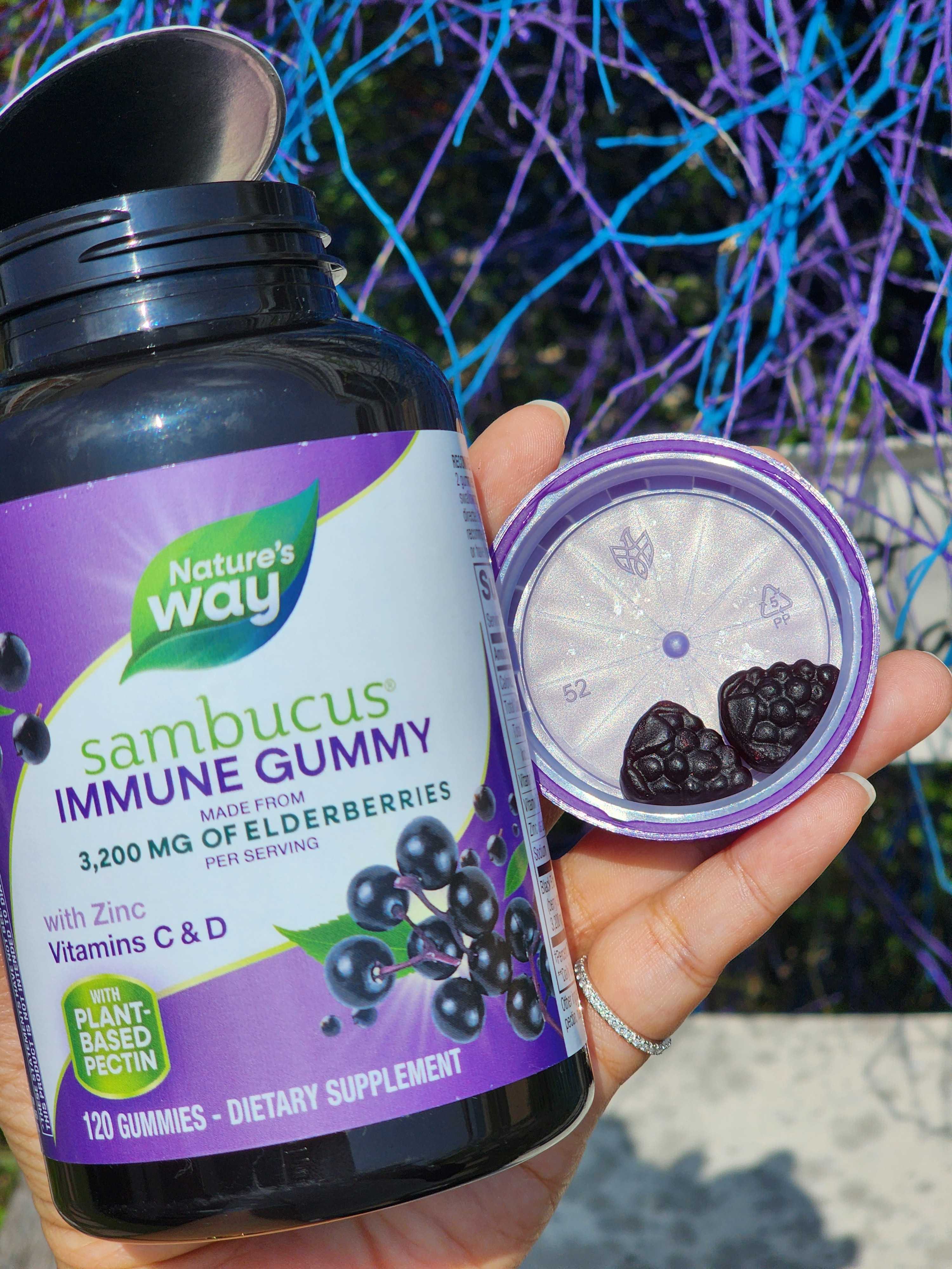 Natures Way Sambucus Elderberry Gummies immune เสริมภูมิ ลดป่วยบ่อย เด็ก
