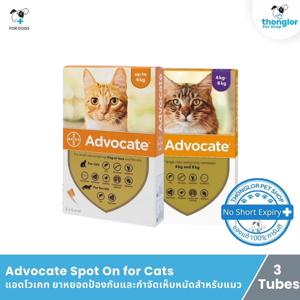 Advocate Spot On for Cats - แอดโวเคท ยาหยอดป้องกันและกำจัดเห็บหมัดสำหรับแมว
