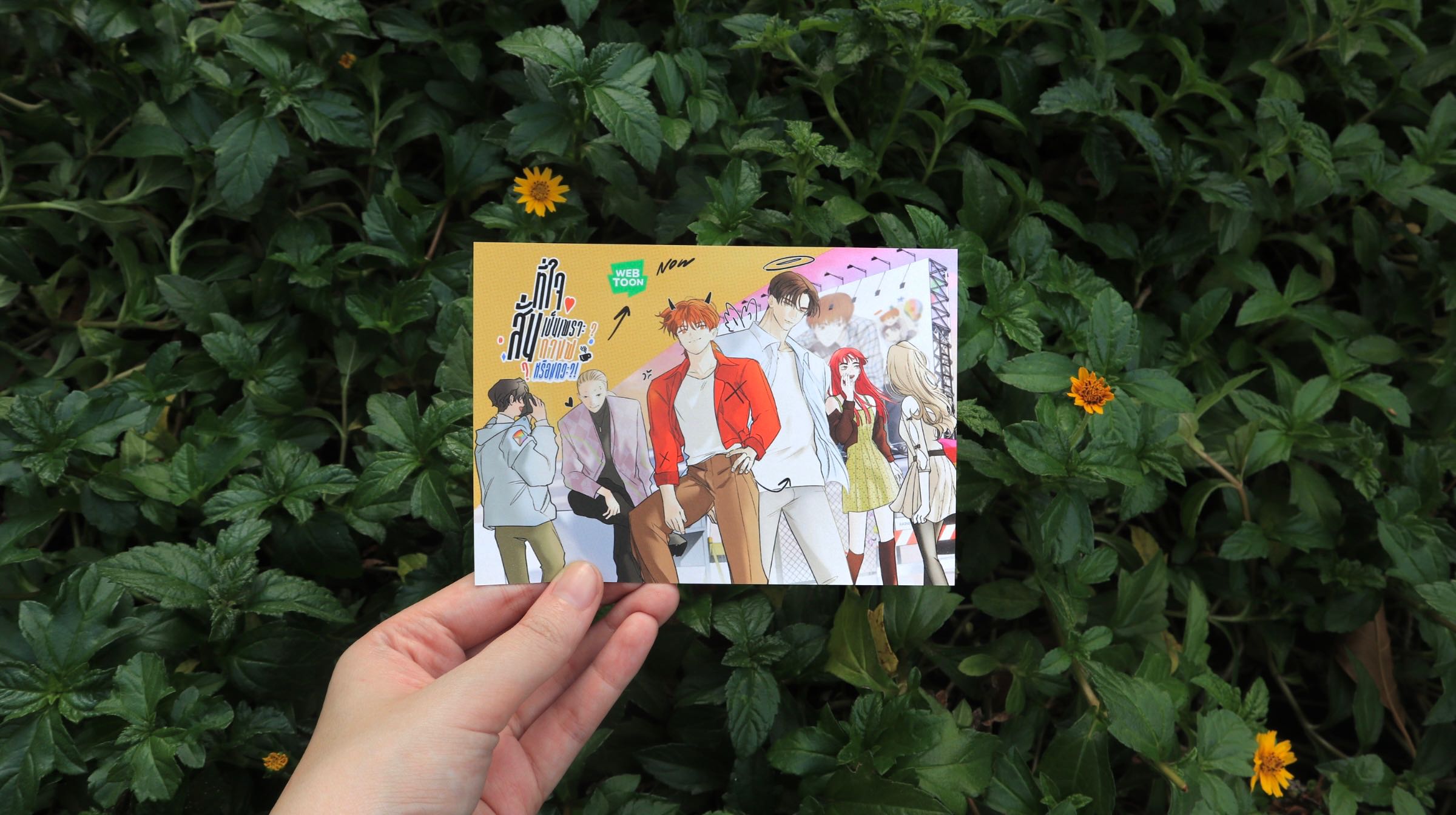 Postcard ที่ใจสั่นเพราะกาแฟหรือแกวะ