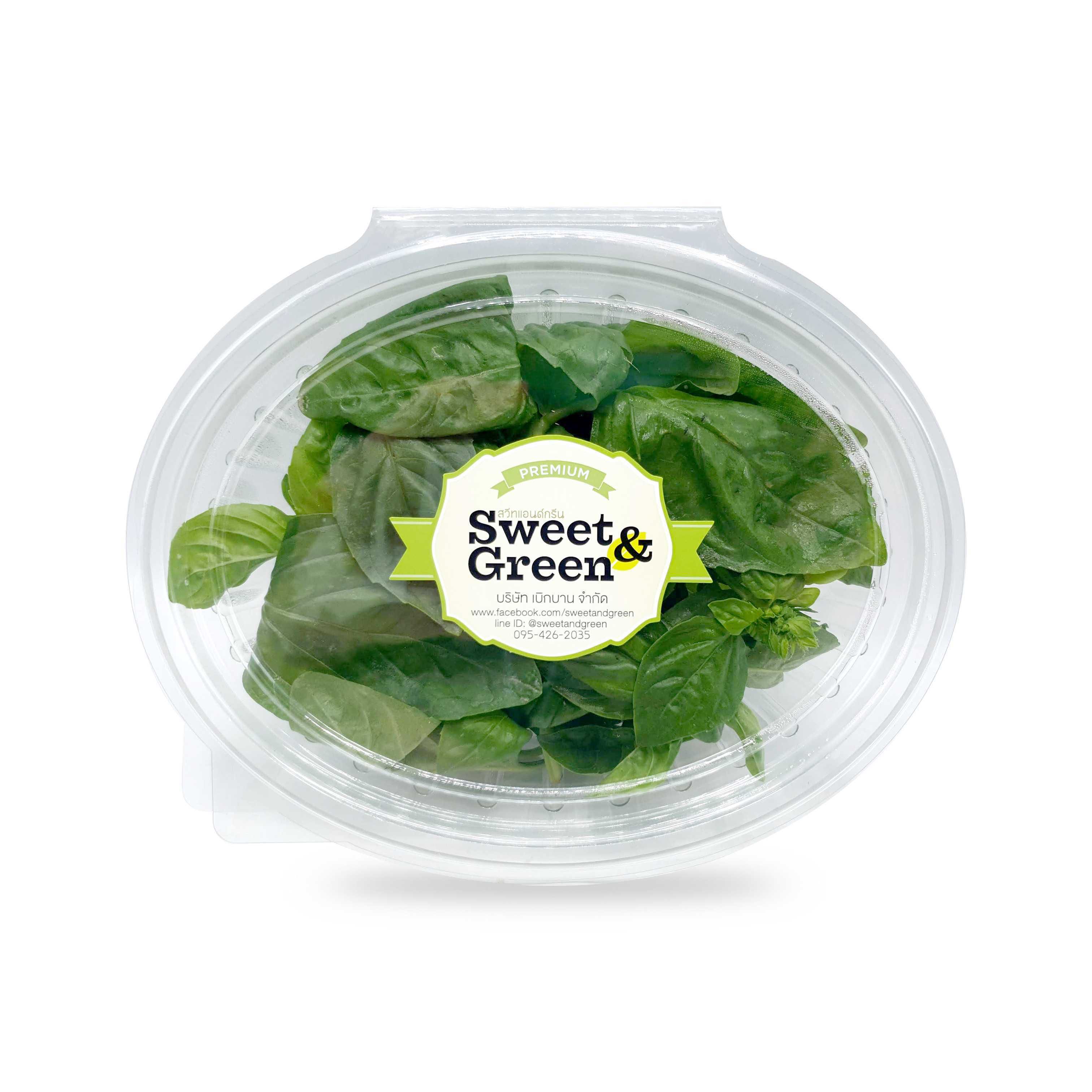 อิตาเลี่ยนเบซิล  (Italian Basil) 30 g.