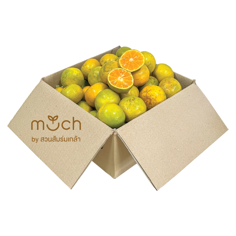สายน้ำผึ้ง M (No.105) ทานผลขนาดเล็ก | Much by สวนส้มร่มเกล้า