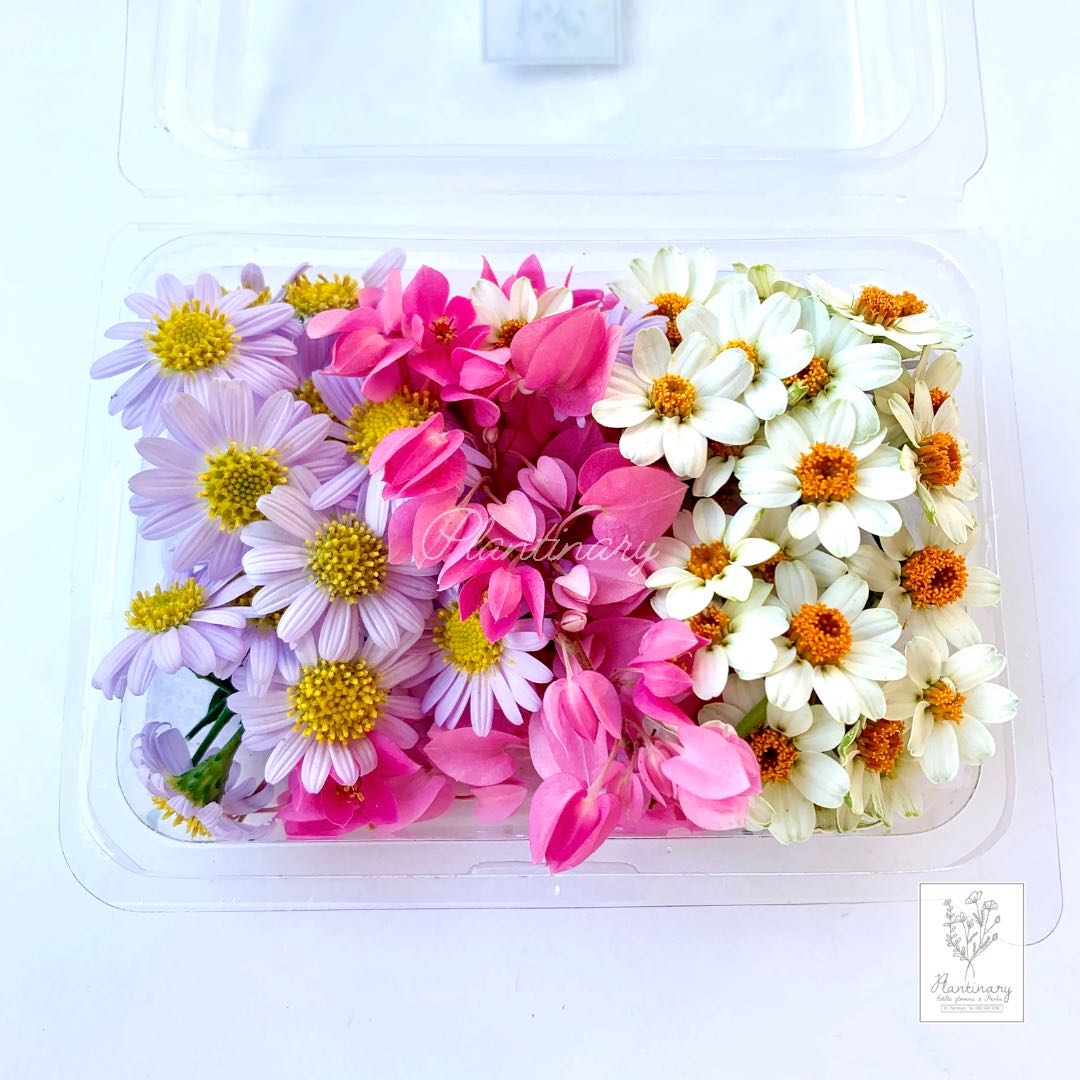 Lovely Three Set เซ็ตดอกไม้สีพาสเทล3ชนิด