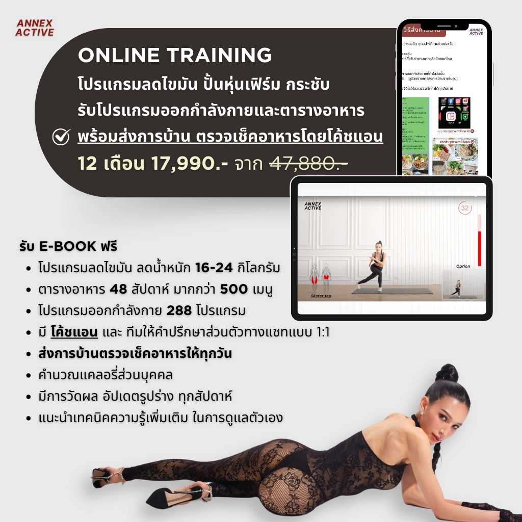 รับโปรแกรม + เทรน 12 เดือน ANNEX ACTIVE ONLINE TRAINING COURSE