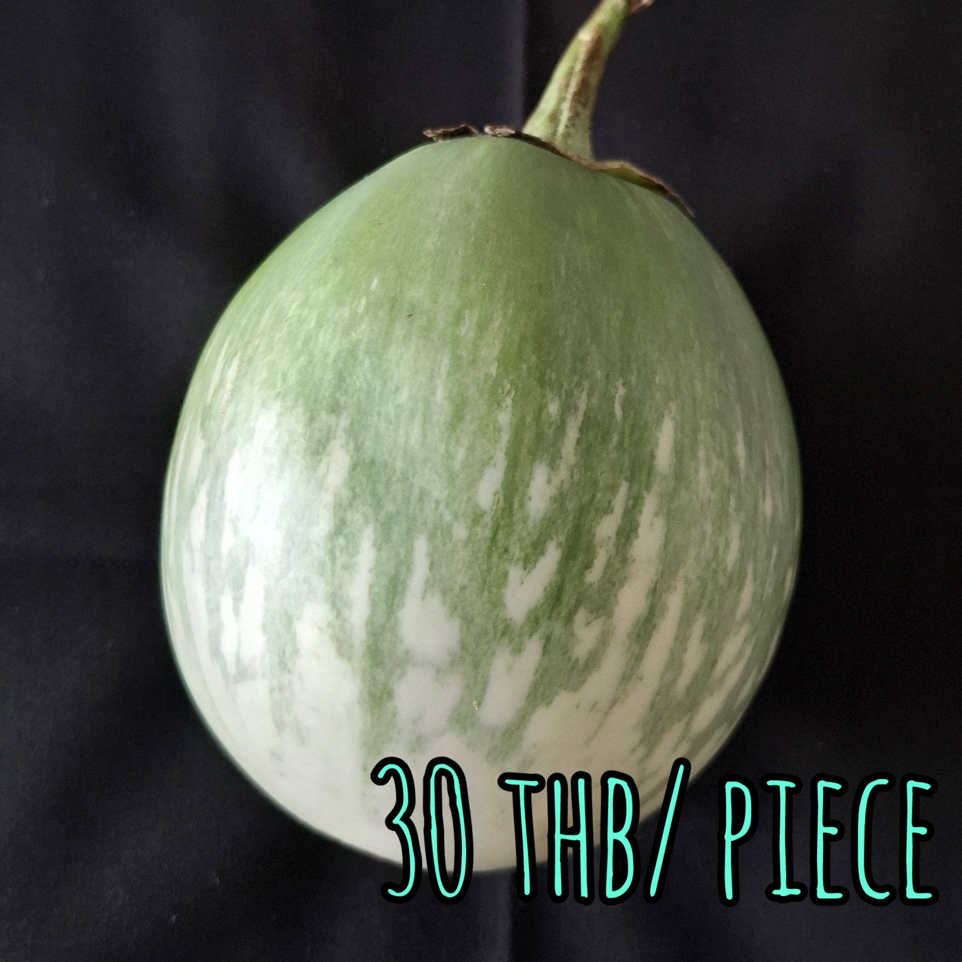 Giant Green Eggplant  ジャイアントタイエッグプラント  มะเขือเปราะยักษ์