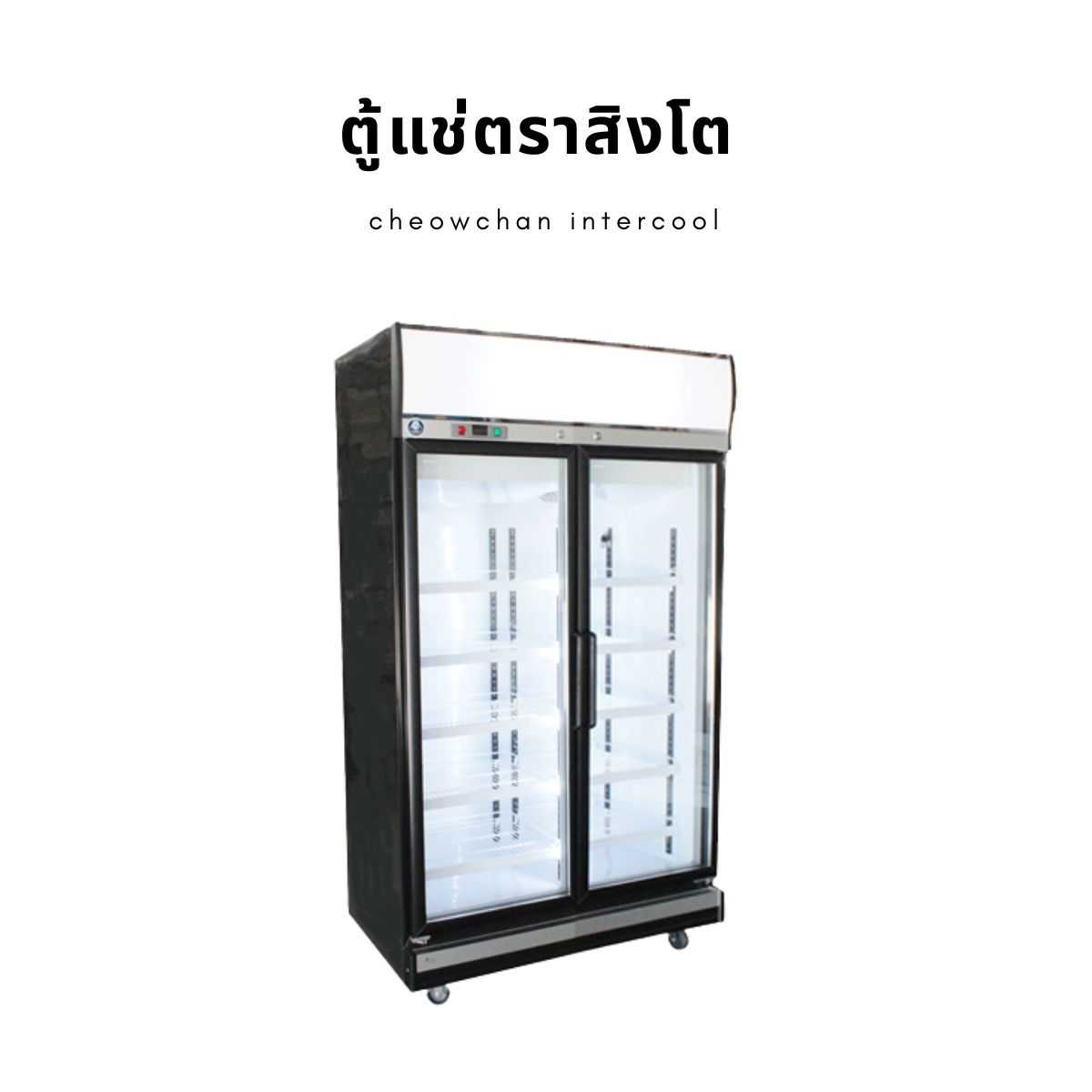 ตู้แช่เย็น 2 ประตู 33 คิว (Chiller) BLACK