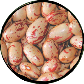 Small Borlotti Dry Beans - 500gr