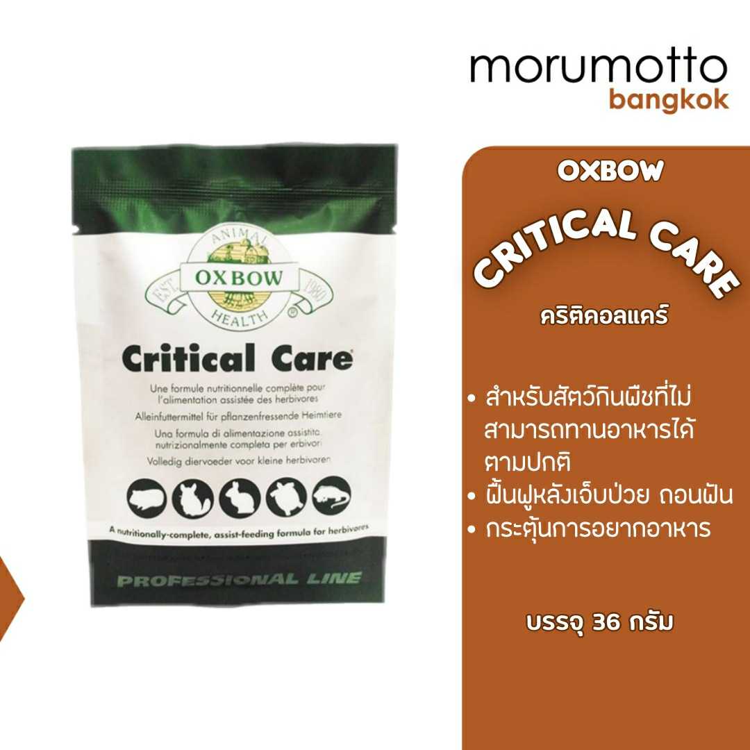 OXBOW Critical Care Anise Flavor คริติคอลแคร์ อาหารเสริมสัตว์ป่วยชนิดผง สำหรับสัตว์กินพืช (36g)