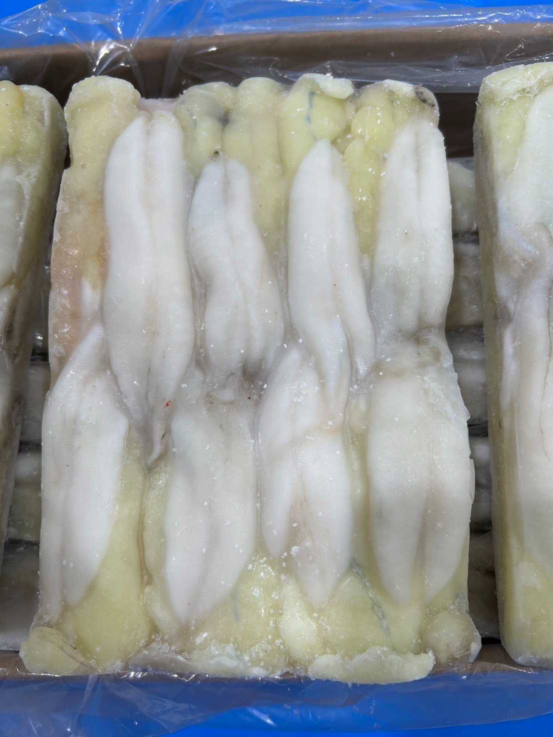 (กล่องขาว 12p) ไข่หมึกอาร์เจน 1kg/p x 12p/กล่อง (ส่ง 120+ 192 บาท) (ส่ง 12+ 193 บาท)