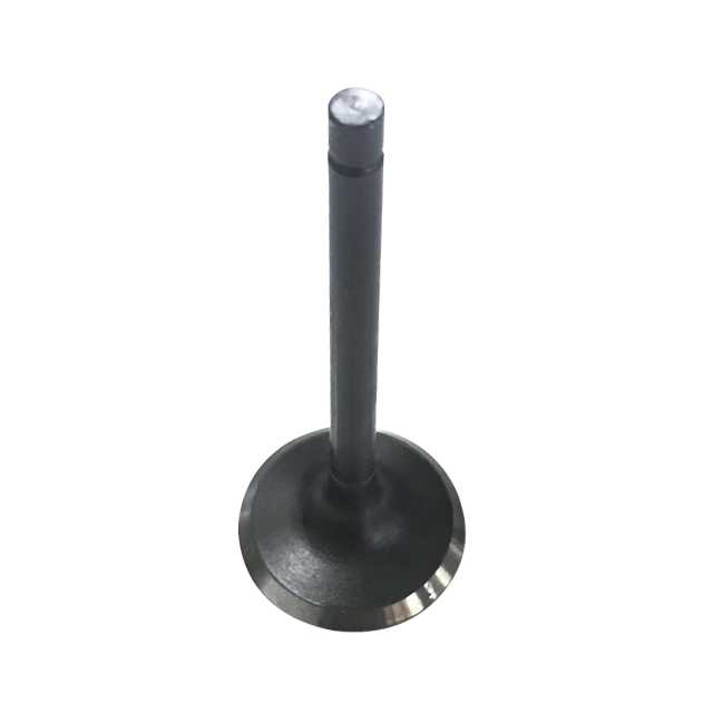 VALVE, EXHAUST / SP-07110193 / SP-07110209