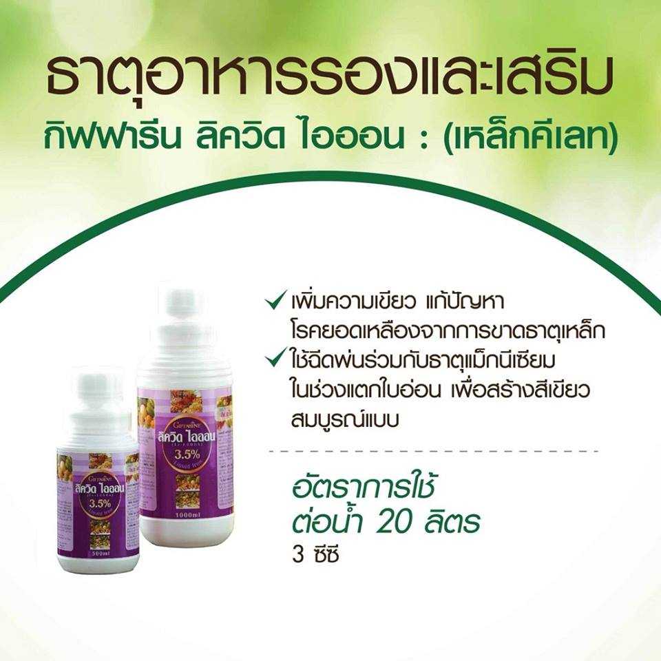 ลิควิด ไอออน