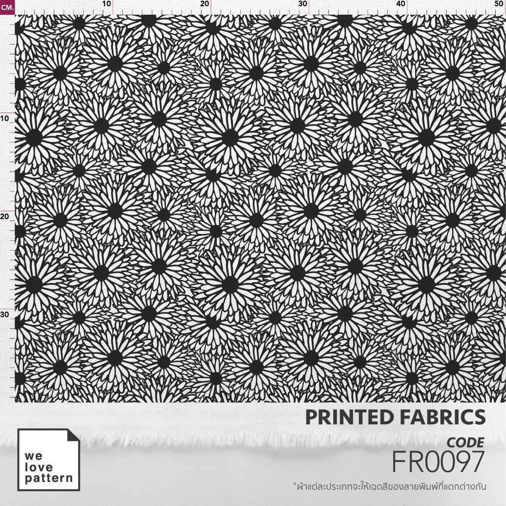 รหัสลาย : FR0097