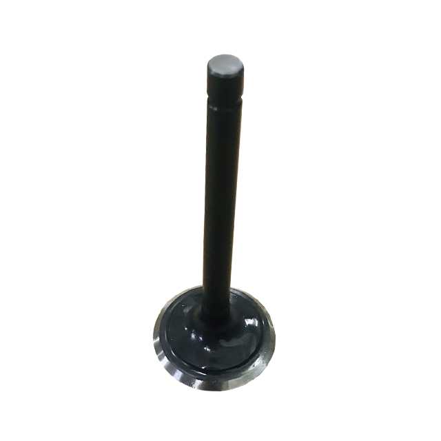 VALVE, EXHAUST / SP-07110119 / SP-07110035