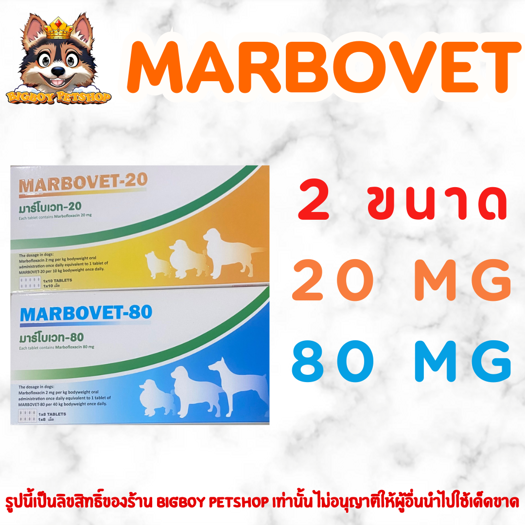 Marbovet-20 (บรรจุ10เม็ด) 80 (บรรจุ8เม็ด) marbocyl