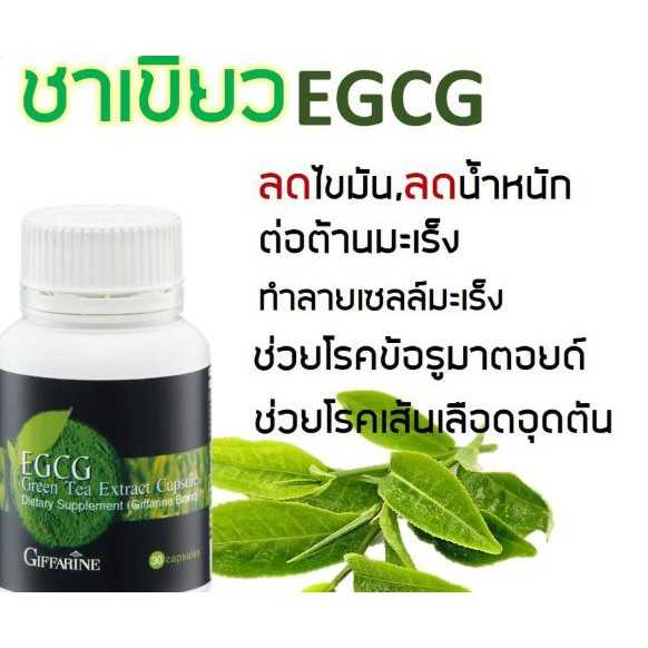 อีจีซีจี กิฟฟารีน สารสกัดชาเขียว อาหารเสริม ชาเขียวลดน้ำหนัก