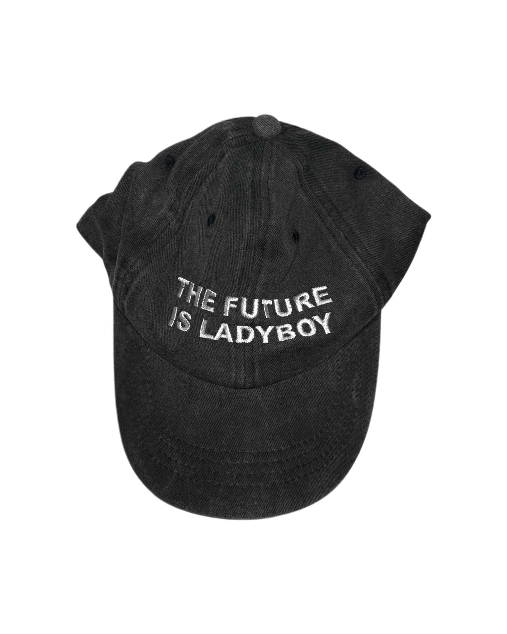 The Future Is Ladyboy Washed Denim Cap (White Logo )