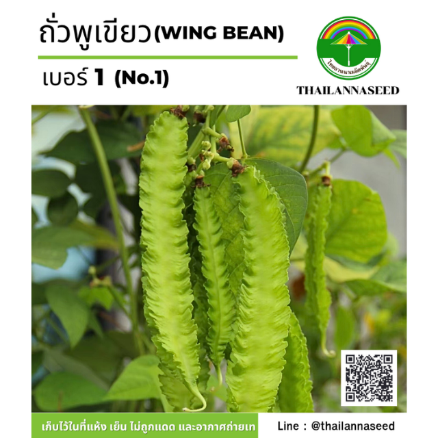 ถั่วพูเขียว เบอร์ 1 ( ขนาด 4 กรัม ) รหัสสินค้า 4027