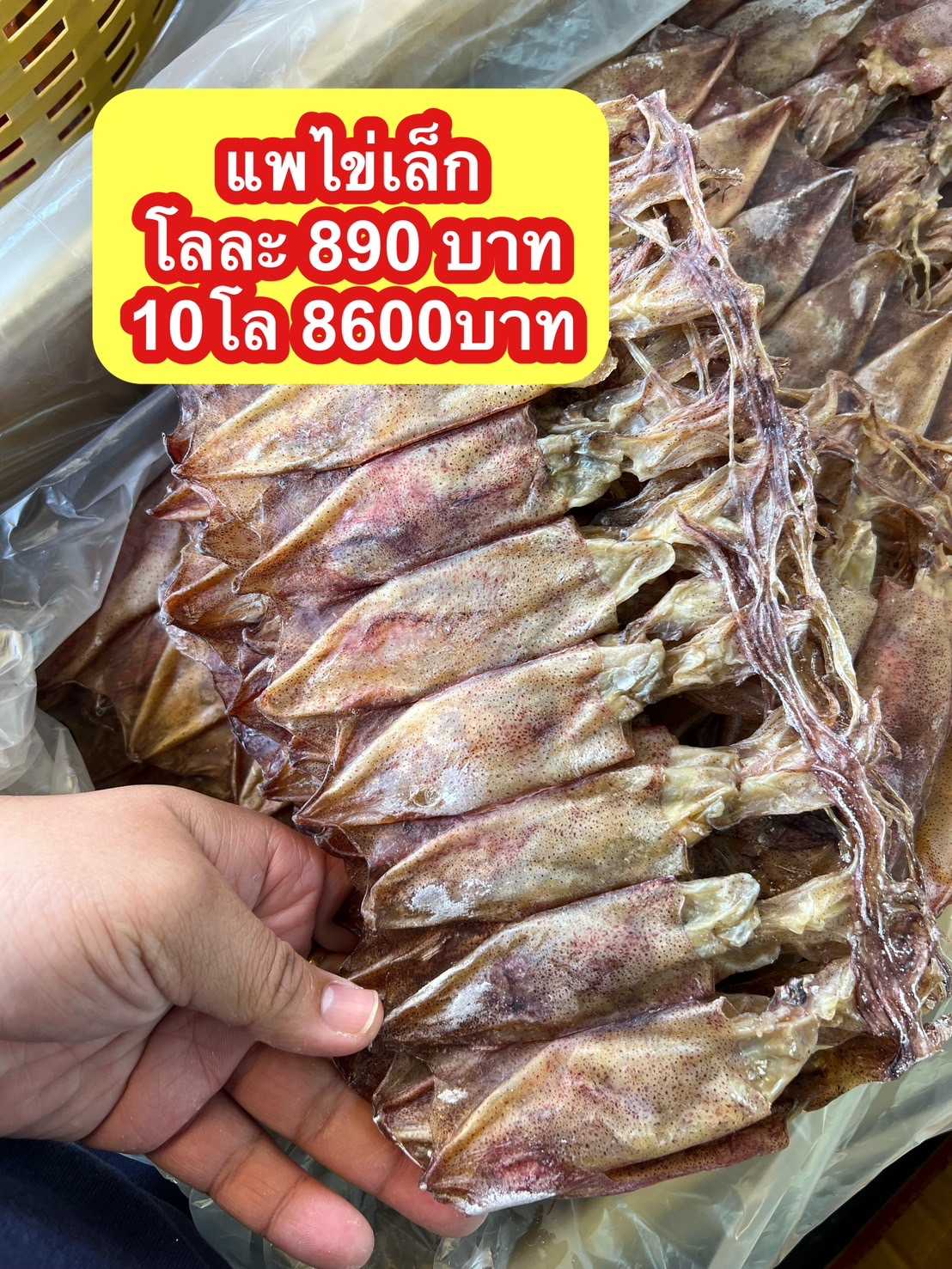 หมึกแพไข่เล็ก ขนาด500กรัม