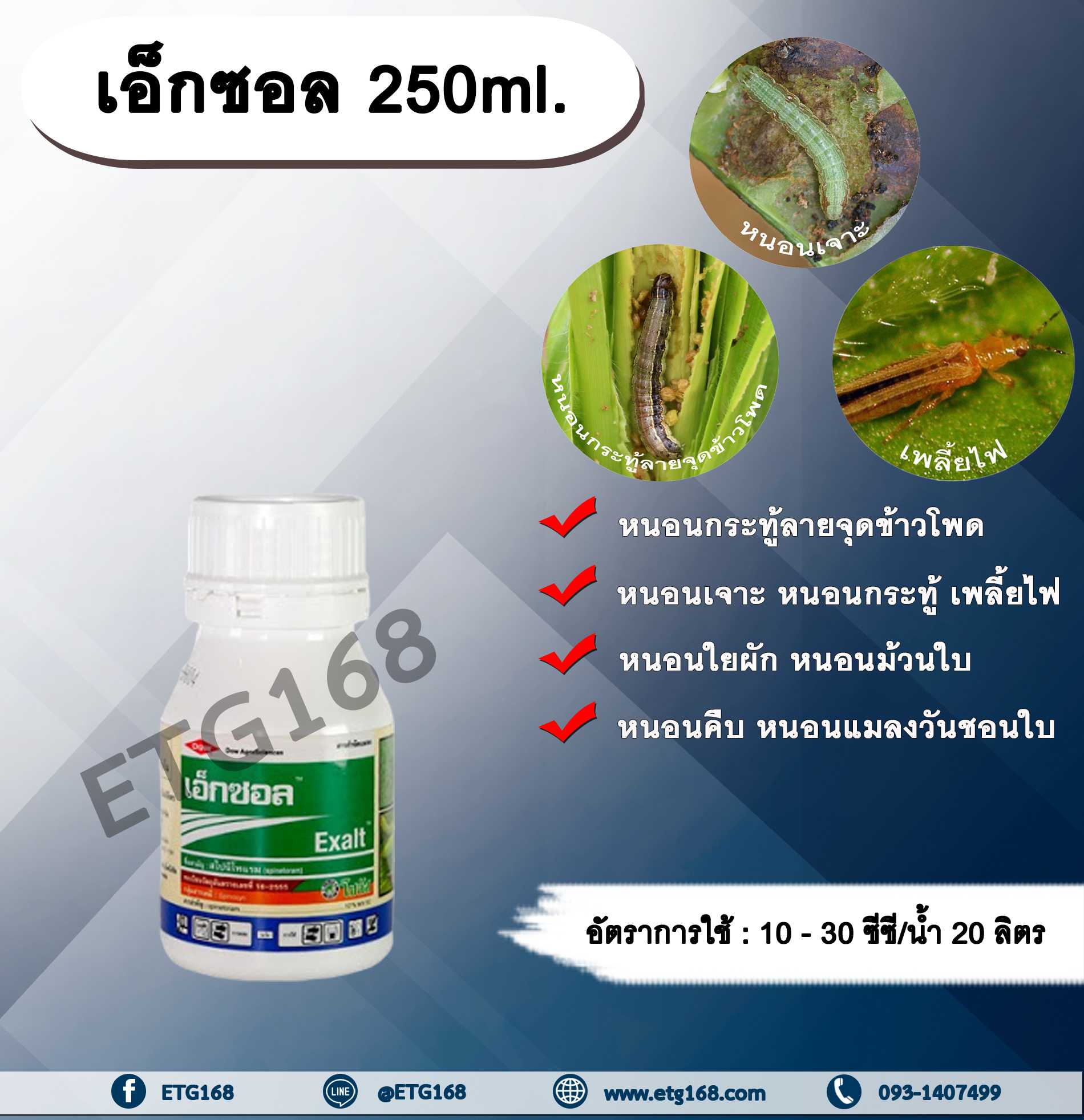 เอ็กซอล 250ml. สไปนีโทแรม สารกำจัดแมลง กำจัดเพลี้ยไฟ กำจัดหนอน หนอนกระทู้ลายจุดข้าวโพด