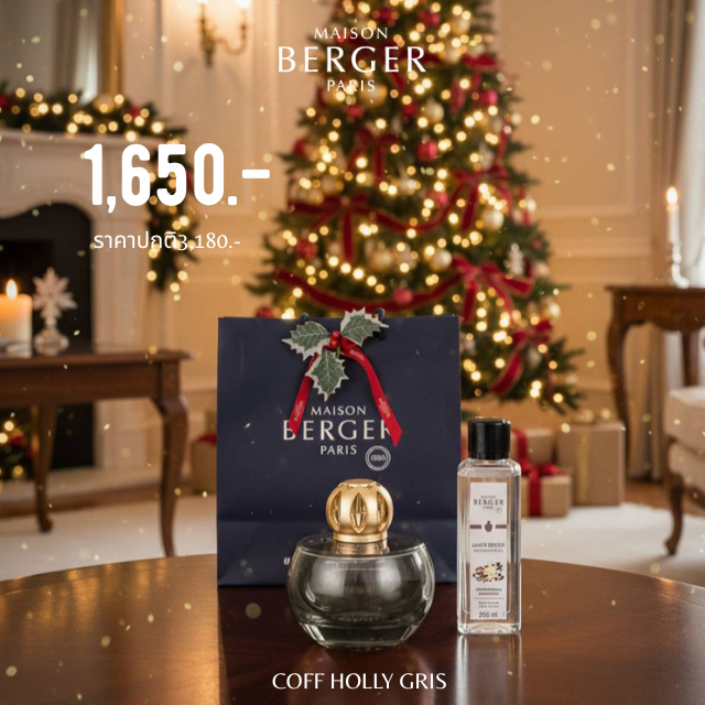 Coffret HOLLY GRIS MOUSSE(GIFT SET)