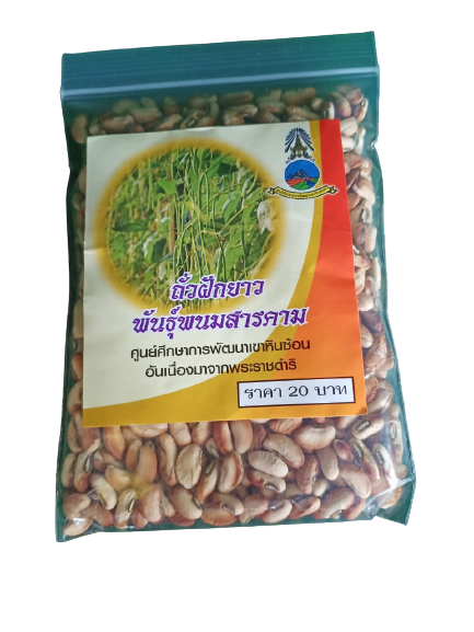 เมล็ดถั่วฝักยาว พันธุ์พนมสารคาม