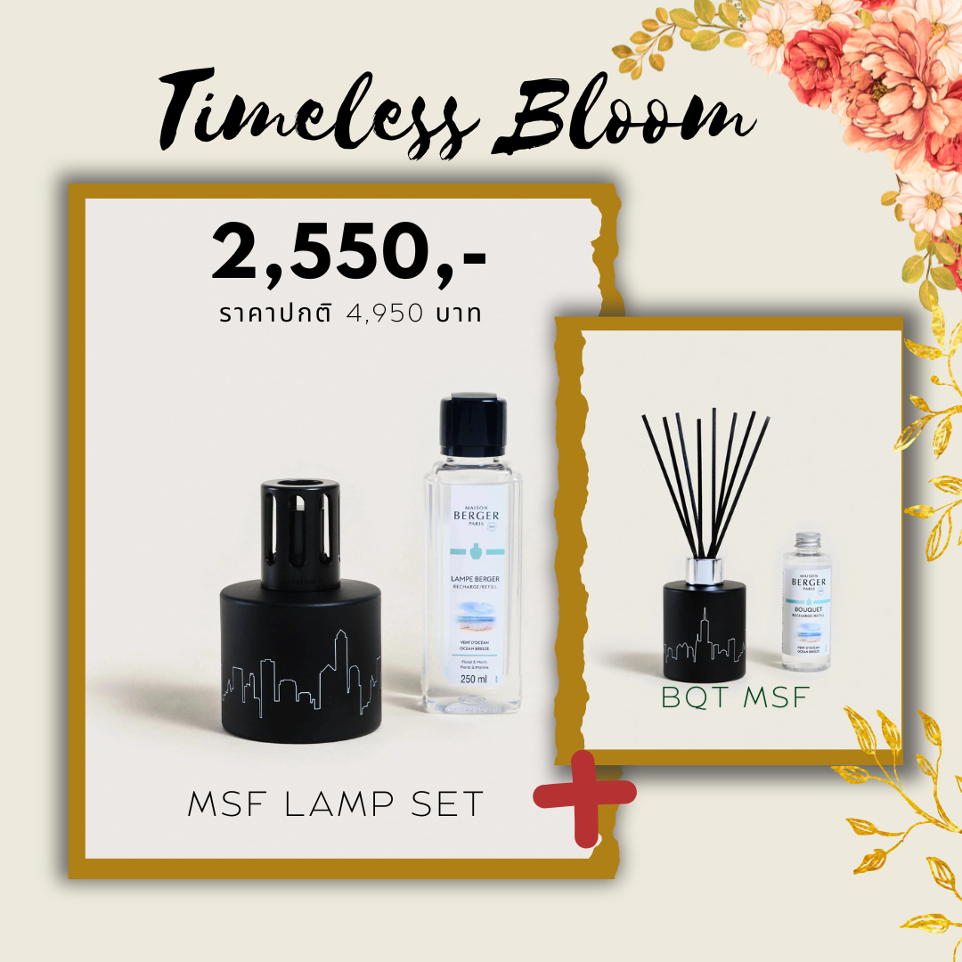 Coffret Pure MSF