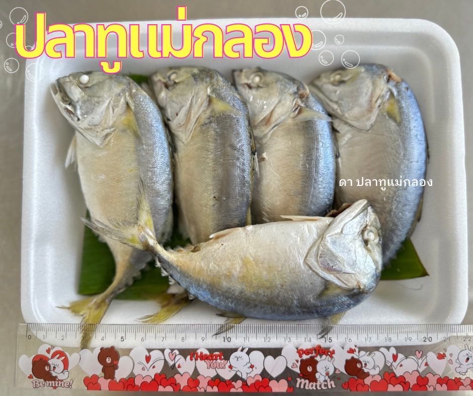 ปลาทูนึ่ง L มี 5 ตัว