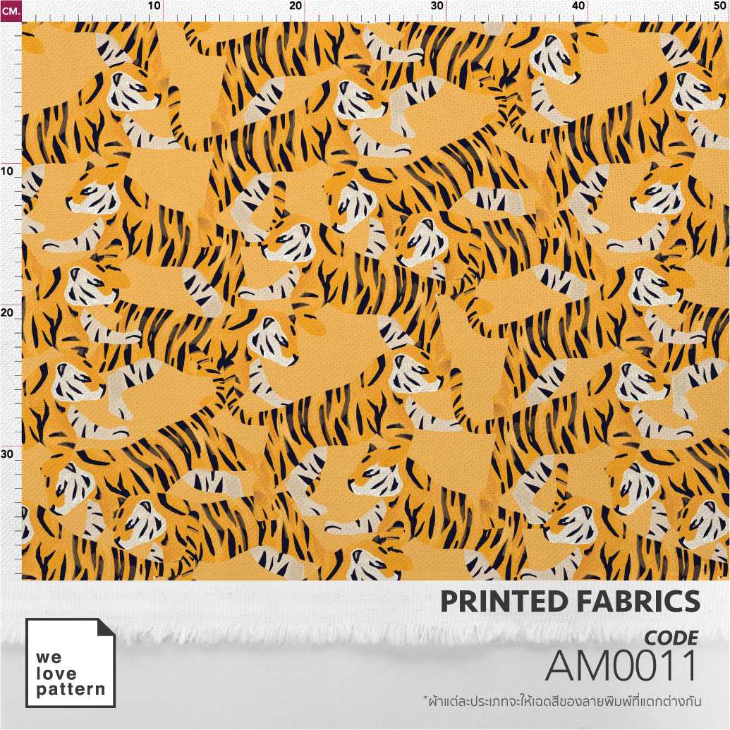 รหัสลาย : AM0011
