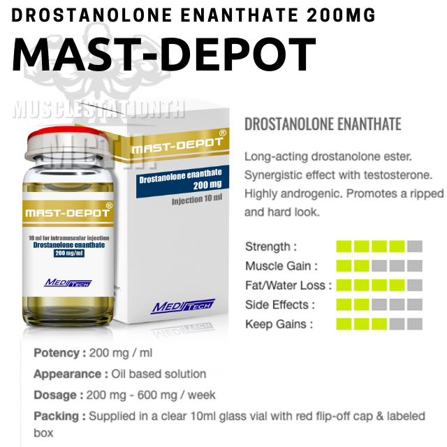 Mast E (Mast-Depot) Meditech (200mg×10ml)