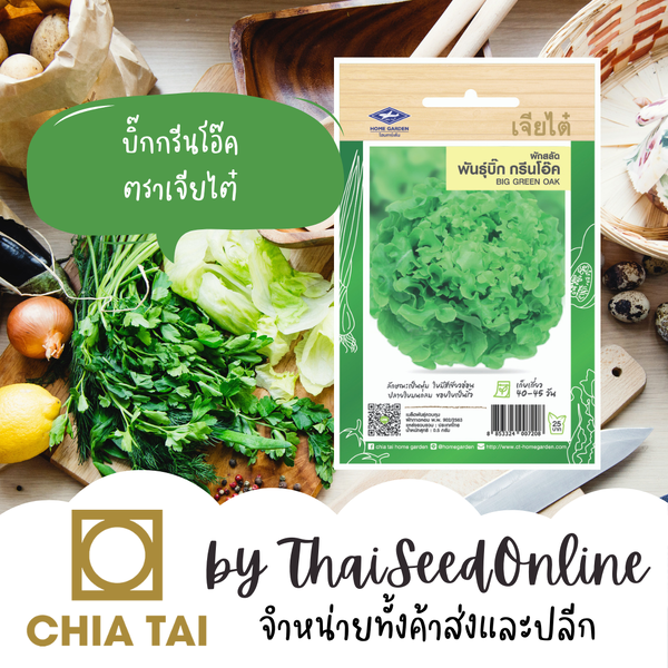 CTF1 ผักกาดหอม ผักสลัด บิ๊ก กรีนโอ๊ค ตราเจียไต๋ Green Oak Lettuce
