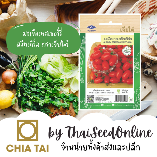 CTF1 เมล็ดพันธุ์ มะเขือเทศเชอร์รี่ สวีทเกิร์ล ตราเจียไต๋ Cherry Tomato Sweet Girl