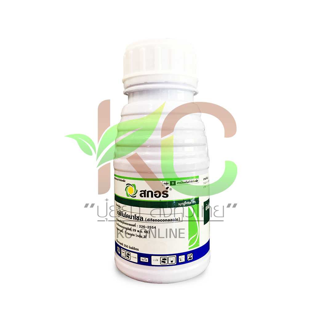 สกอร์ 250 อีซี (Score 250 EC)  250ซีซี