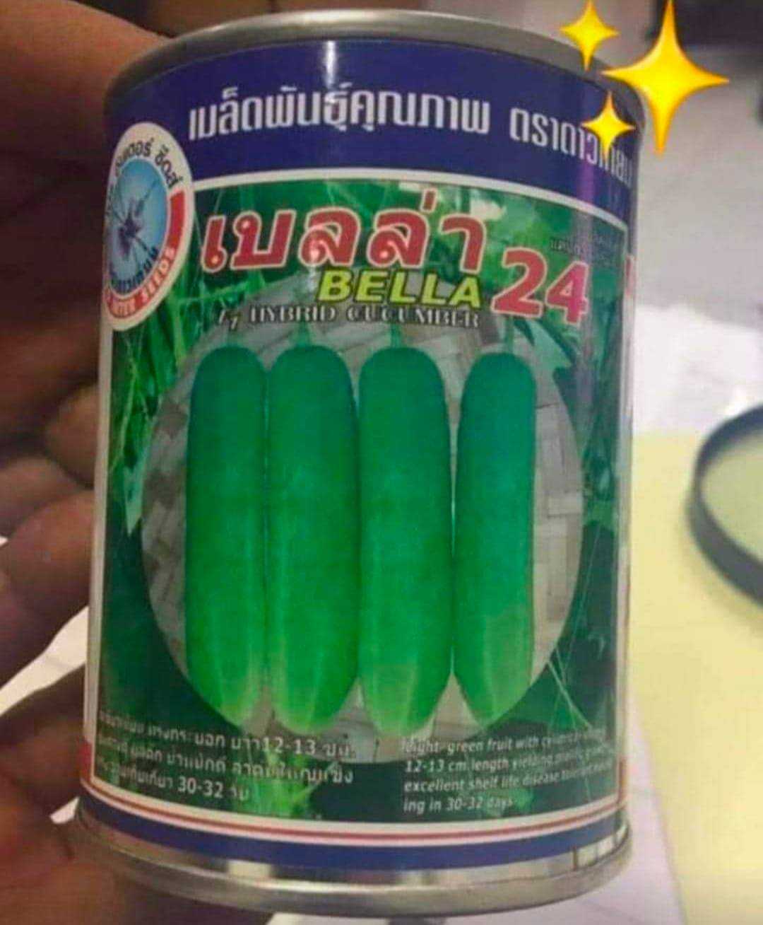 แตงกวาเบลล่า   #เมล็ดพันธ์ุ