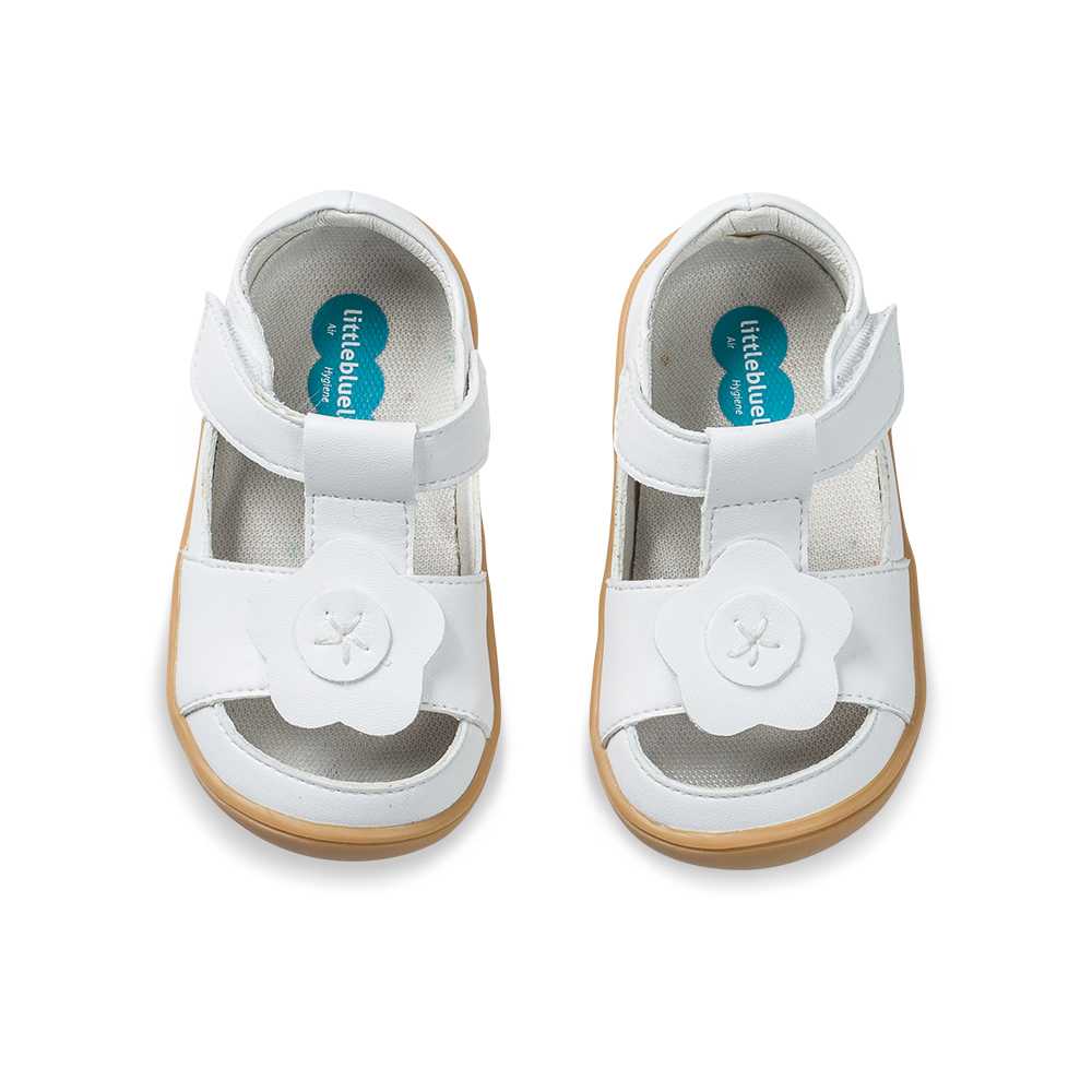 หัดเดิน 0-2 ขวบ (BBB215061-WH) ลายดอกไม้ หมดแล้วหมดเลยไม่มีเติมสต๊อกแล้วนะจ๊ะ Summer2021