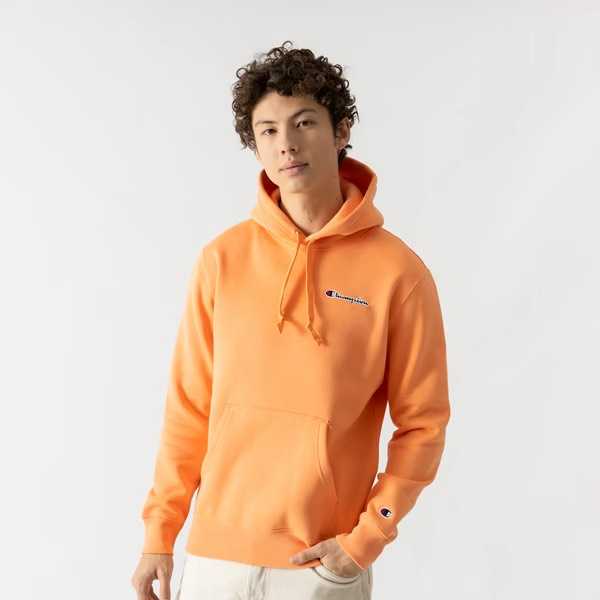 CHAMPION ROCHESTER 1919SMALL SCRIPT LOGO EMBROIDERY FLEECE HOODIE