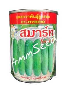 แตงกวาสมาร์ท 100กรัม #เมล็ดพันธุ์