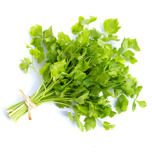คื่นช่าย 150g ผักปลอดภัย
