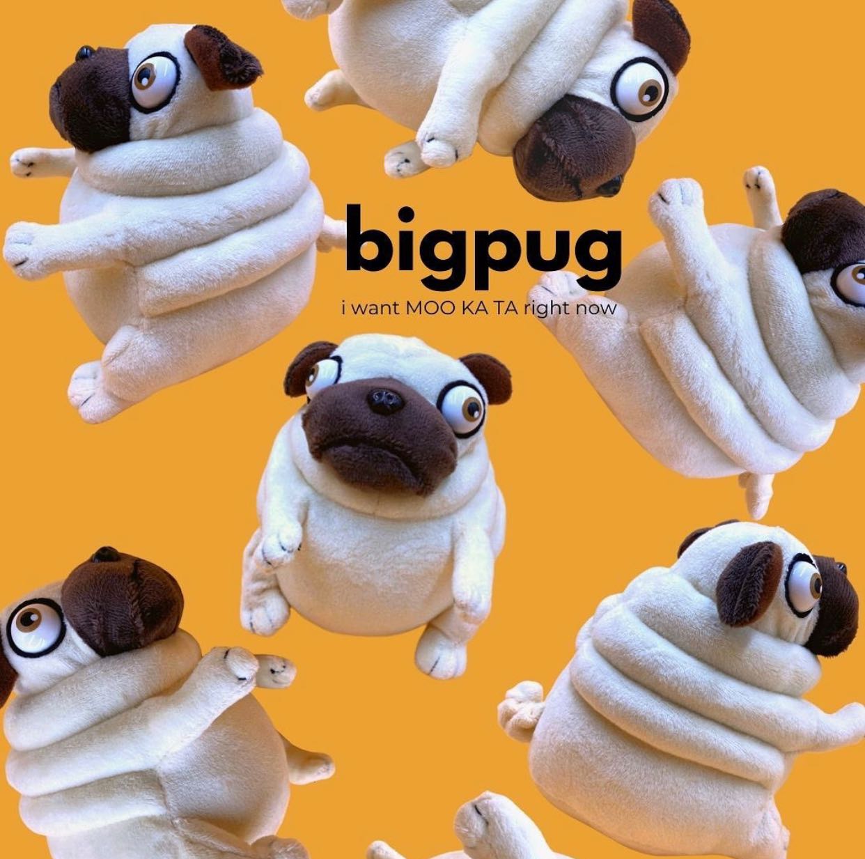 MR.BIGPUG /พร้อมส่ง/