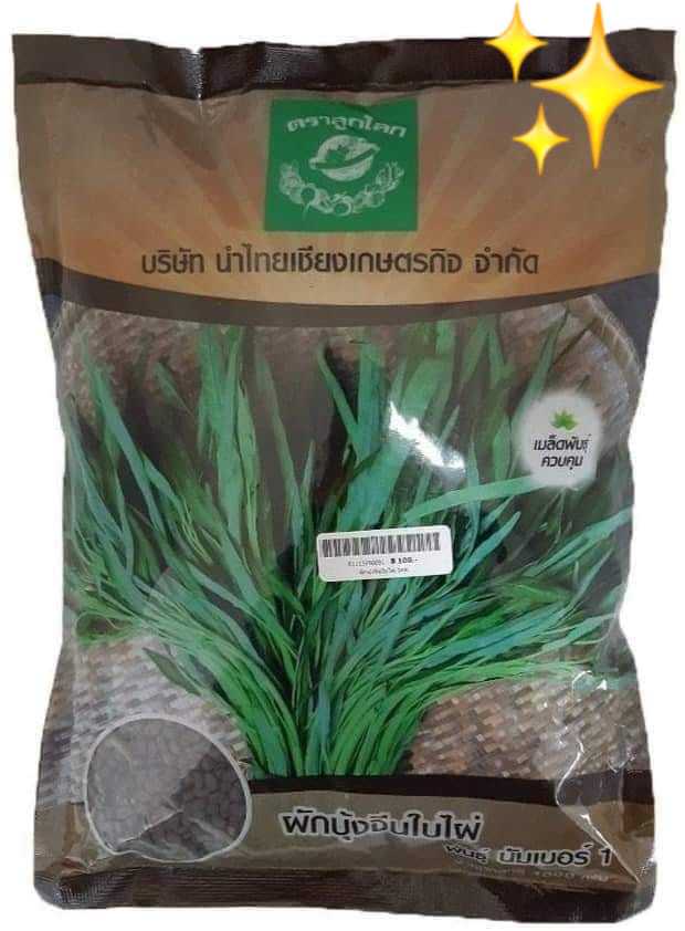 ผักบุ้งจีนใบไผ่  1000กรัม   #เมล็ดพันธ์ุ