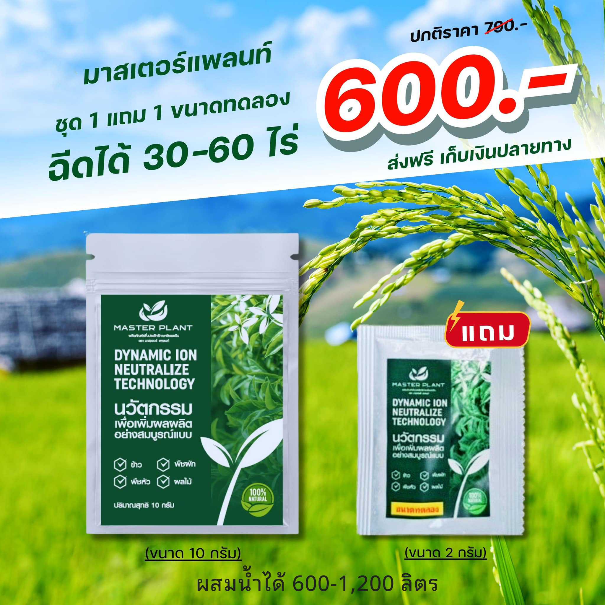 มาสเตอร์แพลนท์ 1 ซอง (แถมฟรี 1 ซองทดลอง)