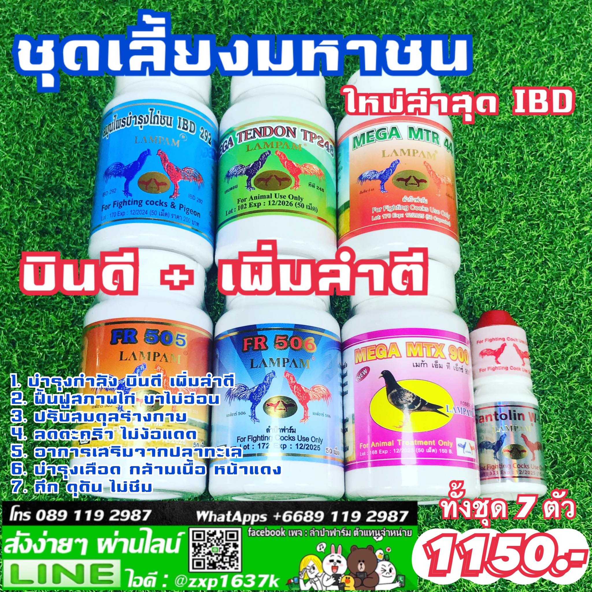 ชุดเลี้ยง มหาชน ตัวใหม่