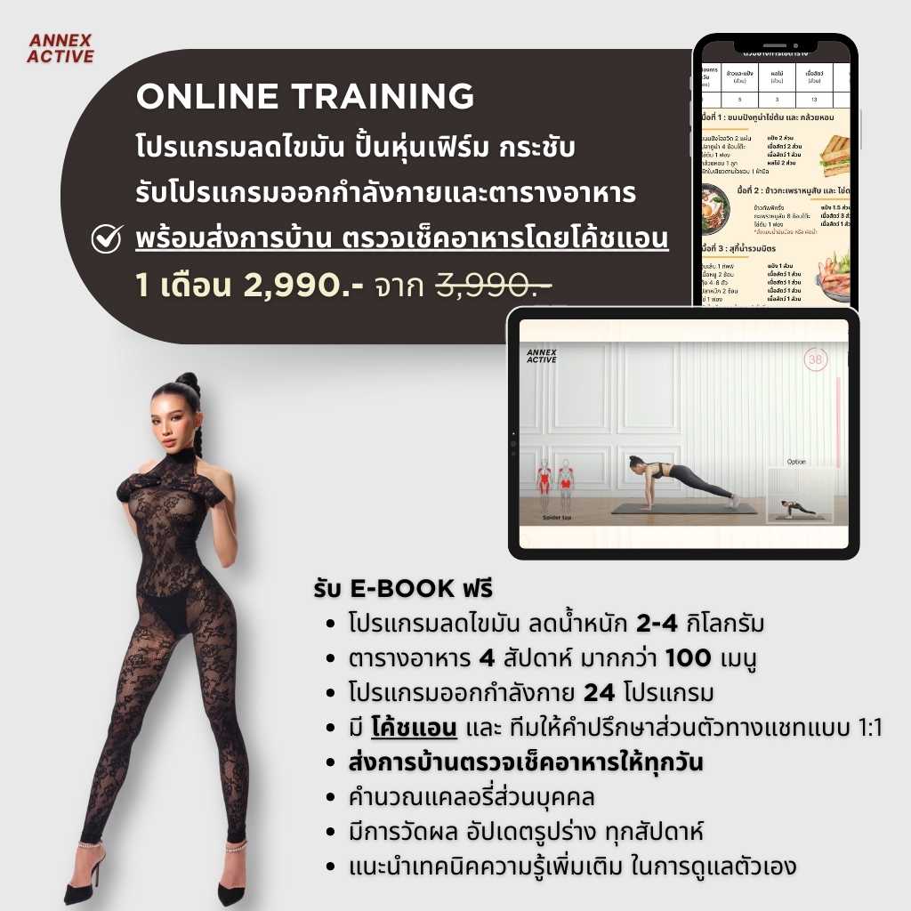 รับโปรแกรม + เทรน 1 เดือน ANNEX ACTIVE ONLINE TRAINING COURSE