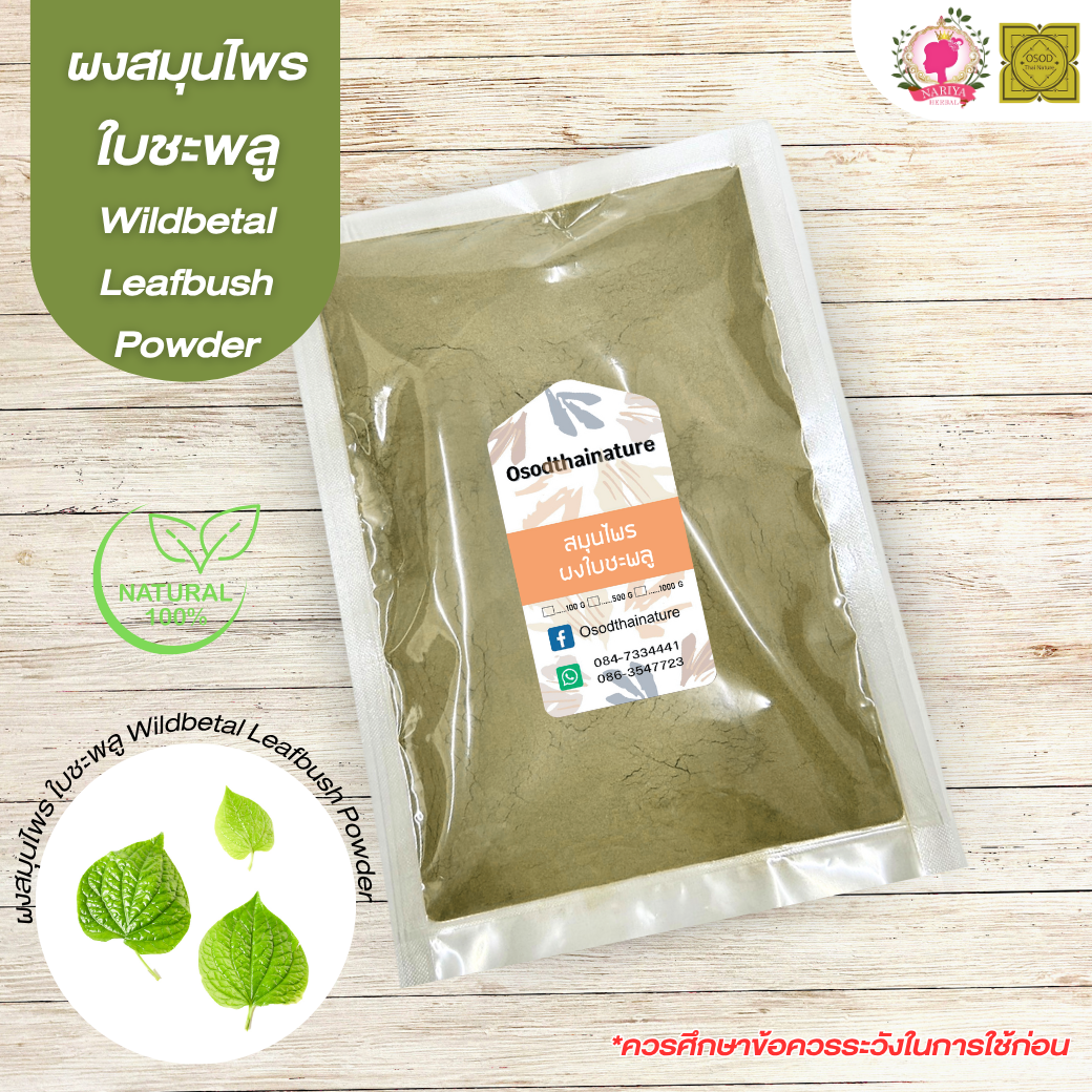 ผงใบชะพลู (Wildbetal Leafbush Powder) ขนาด 500 1000 กรัม ใบชะพลู บดละเอียด สมุนไพร แท้100%