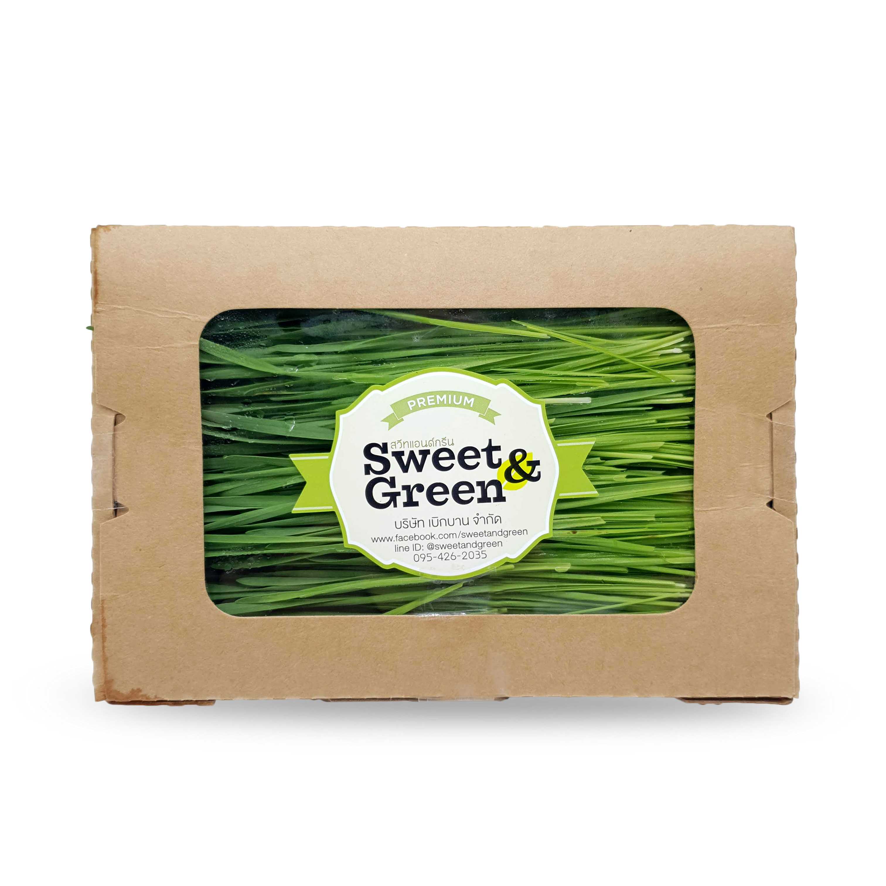 ต้นอ่อนข้าวสาลี (Wheatgrass)