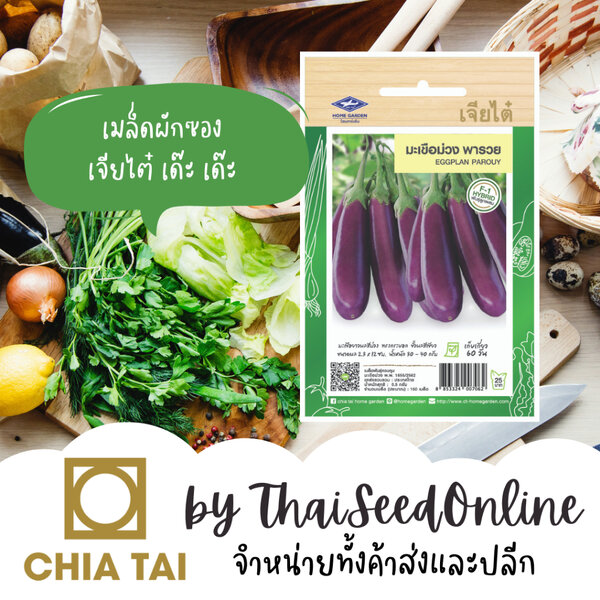Chia Tai(เจียไต๋) CTF1 เมล็ดพันธุ์ มะเขือม่วงลิง พารวย ตราเจียไต๋ Purple Eggplant