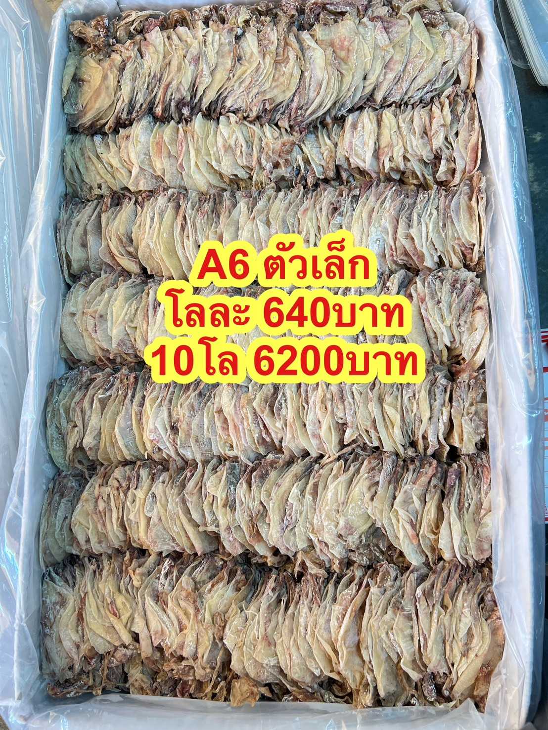 หมึกผ่าตัวเล็กA6 5kg. โลละ 620