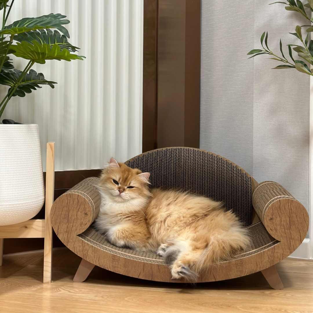 Purrline