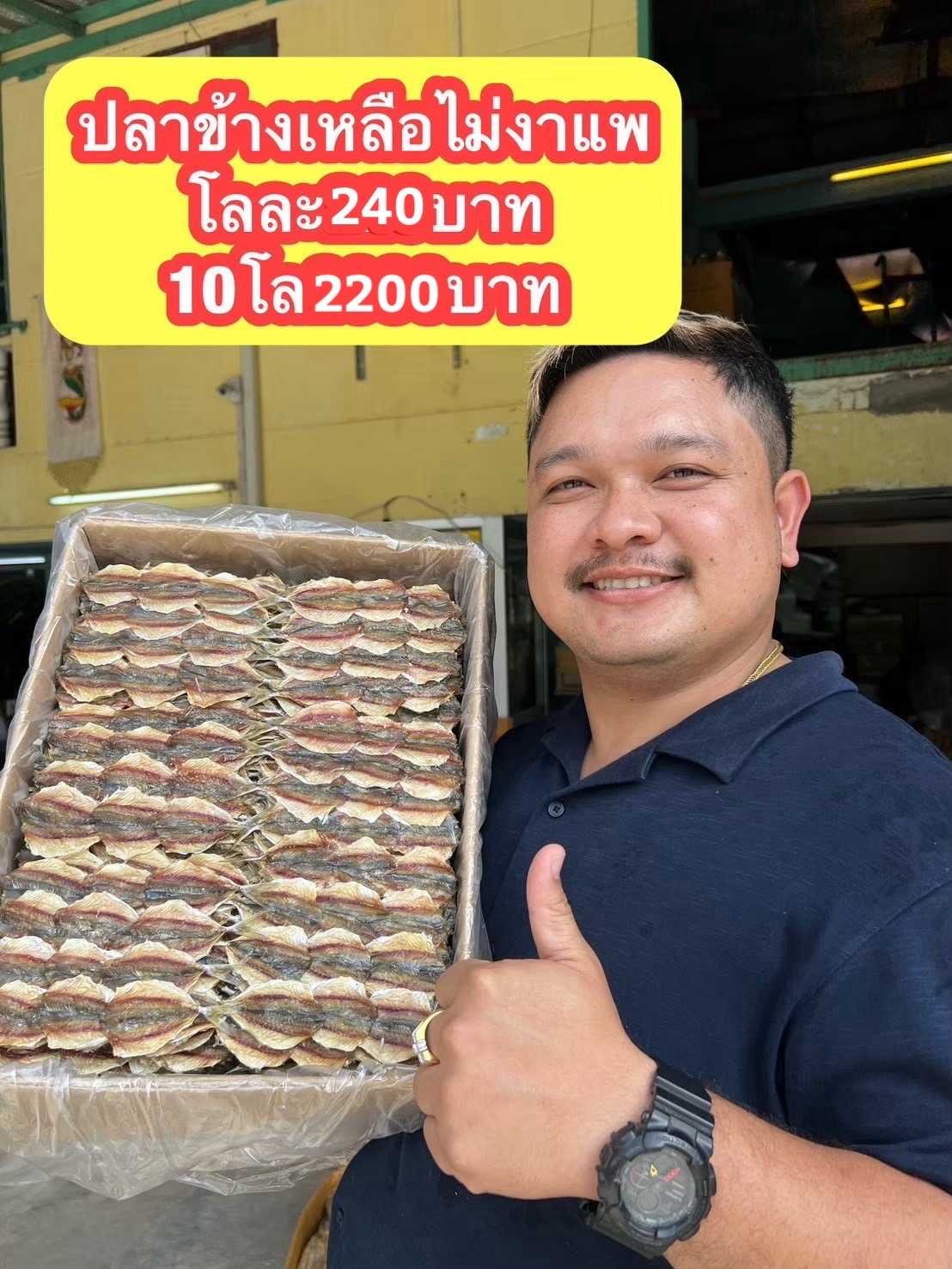 ปลาข้างเหลืองไม่งาแพ ขนาด500กรัม