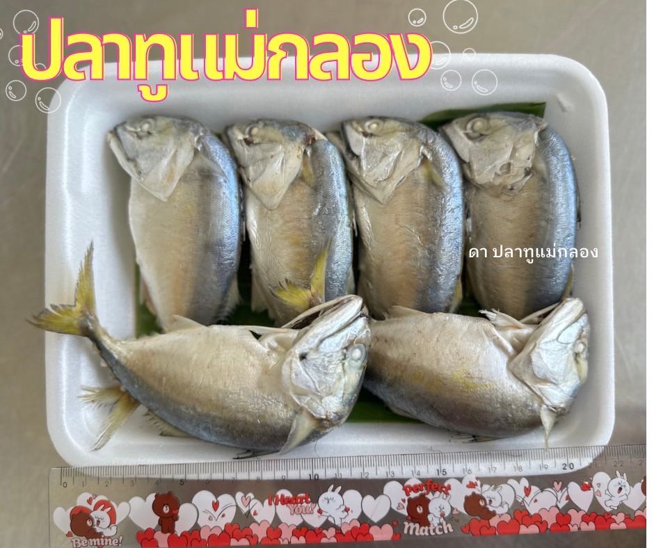 ปลาทูนึ่ง M มี 6 ตัว