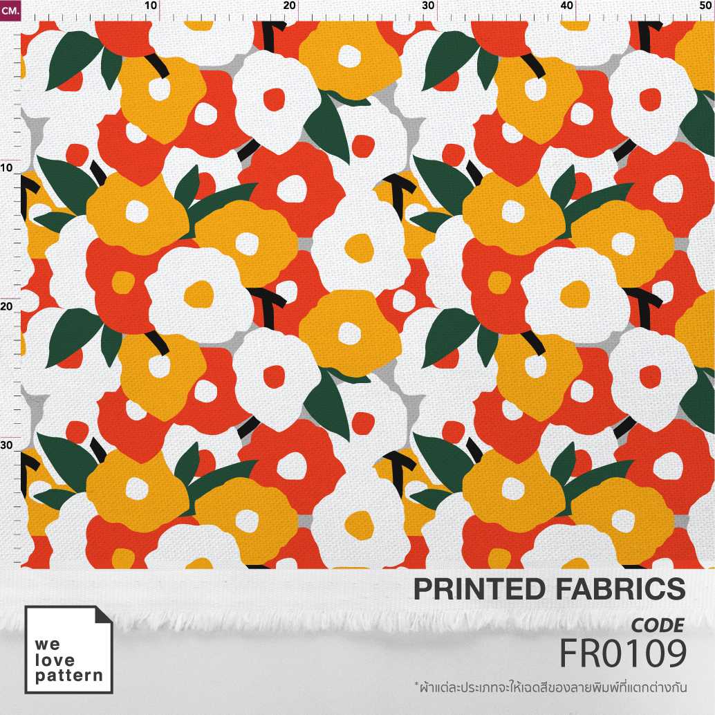 รหัสลาย : FR0109