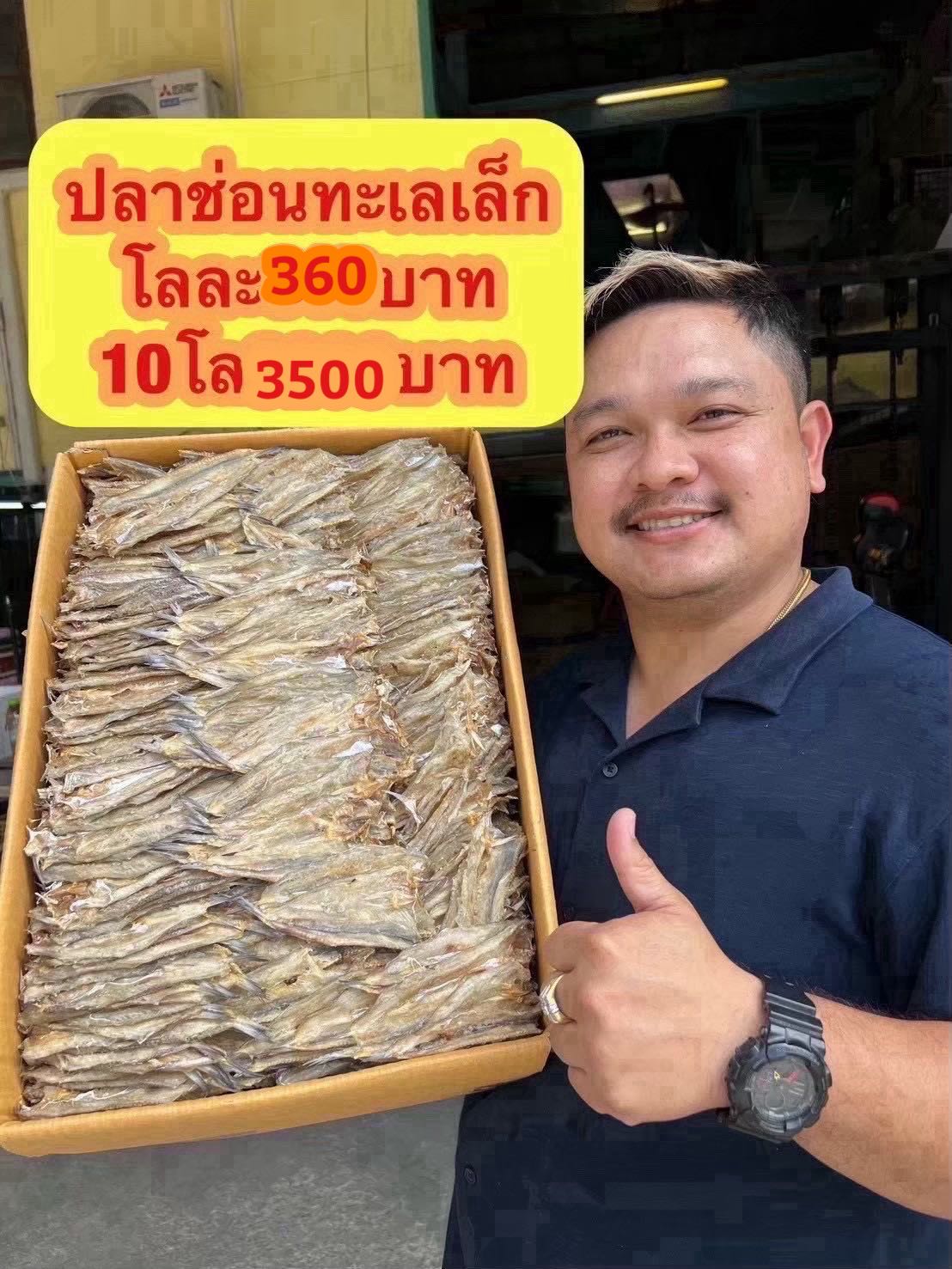 ปลาช่อนทะเลเล็ก ขนาด500กรัม